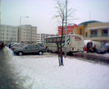 Školka v přírodě