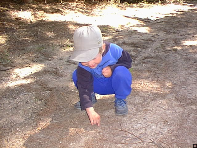 2001_0512_06.jpg