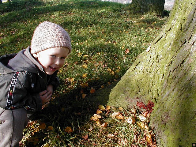 2001_1104_07.jpg