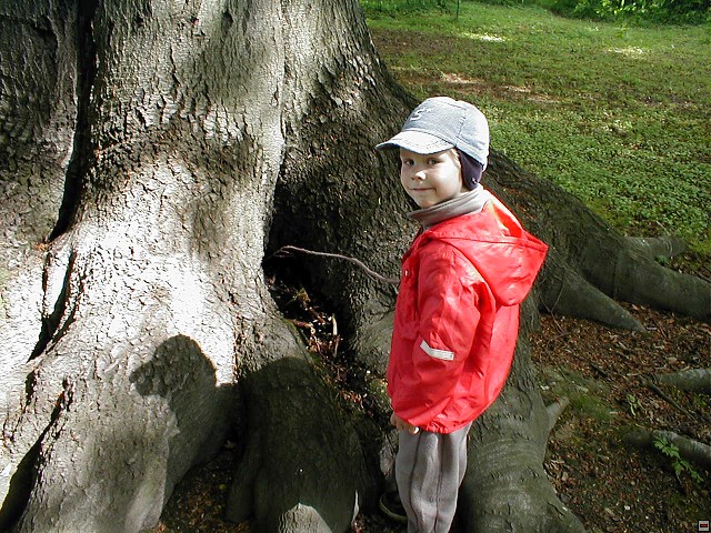 2002_0508_13.jpg