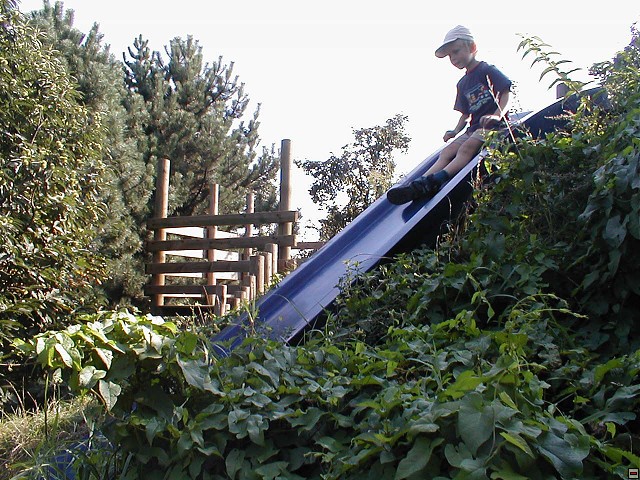 2002_0908_08.jpg