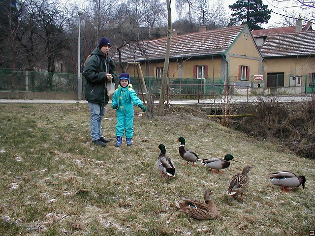 2002_1214_01.jpg