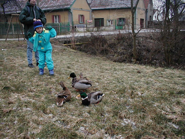 2002_1214_05.jpg