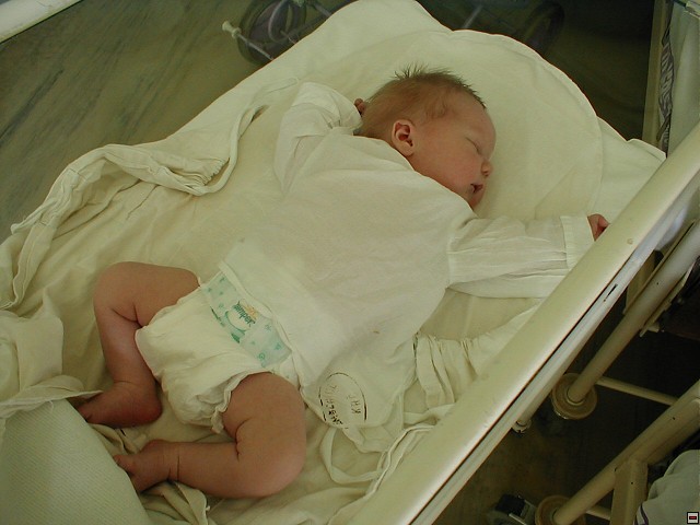 2003_0806_08.jpg