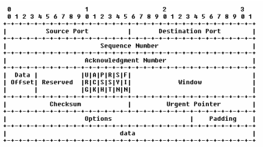TCP-header